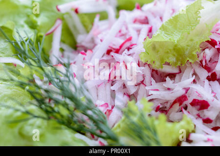 Rettich Salat mit grünen auf einem Tablett. Der Blick von oben Stockfoto