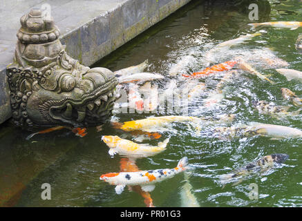 Tempel Fischteich mit bunten Koi Karpfen Schwimmen in der Nähe der typisch balinesischen hinduistischen Gottheit Stein Abbildung. Stockfoto