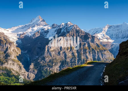 Sonne während der Wanderweg vom Ersten in Grindelwald (Berner Oberland, Schweiz). Sie haben eine tolle Aussicht auf Eiger, Mönch und Jungfrau. Stockfoto