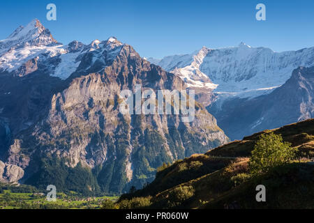 Sonne während der Wanderweg vom Ersten in Grindelwald (Berner Oberland, Schweiz). Sie haben eine tolle Aussicht auf Eiger, Mönch und Jungfrau. Stockfoto