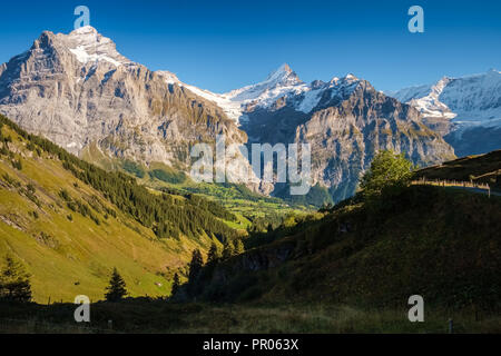 Sonne während der Wanderweg vom Ersten in Grindelwald (Berner Oberland, Schweiz). Sie haben eine tolle Aussicht auf Eiger, Mönch und Jungfrau. Stockfoto