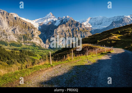 Sonne während der Wanderweg vom Ersten in Grindelwald (Berner Oberland, Schweiz). Sie haben eine tolle Aussicht auf Eiger, Mönch und Jungfrau. Stockfoto