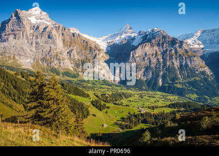 Sonne während der Wanderweg vom Ersten in Grindelwald (Berner Oberland, Schweiz). Sie haben eine tolle Aussicht auf Eiger, Mönch und Jungfrau. Stockfoto