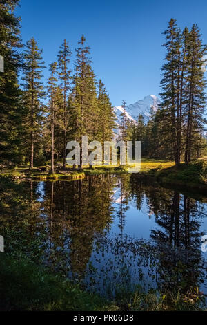 Sonne während der Wanderweg vom Ersten in Grindelwald (Berner Oberland, Schweiz). Sie haben eine tolle Aussicht auf Eiger, Mönch und Jungfrau. Stockfoto