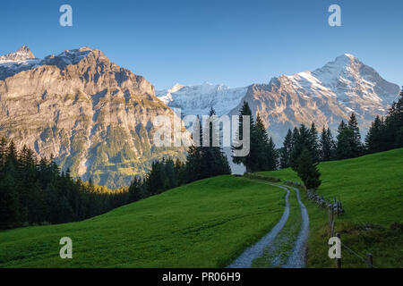 Sonne während der Wanderweg vom Ersten in Grindelwald (Berner Oberland, Schweiz). Sie haben eine tolle Aussicht auf Eiger, Mönch und Jungfrau. Stockfoto