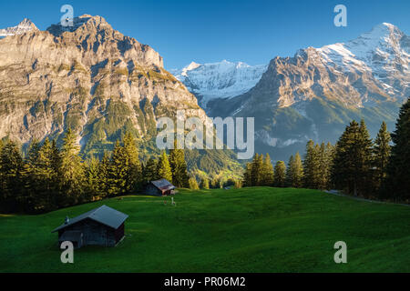 Sonne während der Wanderweg vom Ersten in Grindelwald (Berner Oberland, Schweiz). Sie haben eine tolle Aussicht auf Eiger, Mönch und Jungfrau. Stockfoto