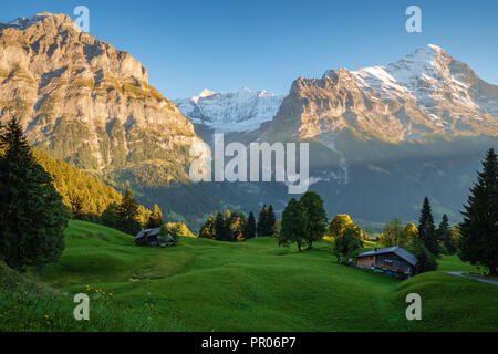 Sonne während der Wanderweg vom Ersten in Grindelwald (Berner Oberland, Schweiz). Sie haben eine tolle Aussicht auf Eiger, Mönch und Jungfrau. Stockfoto