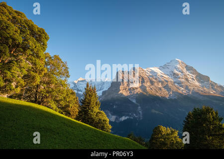 Sonne während der Wanderweg vom Ersten in Grindelwald (Berner Oberland, Schweiz). Sie haben eine tolle Aussicht auf Eiger, Mönch und Jungfrau. Stockfoto
