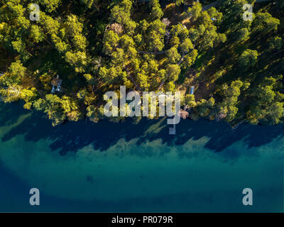 Antenne drone Foto von grünen Bäumen Kronen in Lake Shore wachsende, gemischte Herbst Wald wie ein Design Pattern, von oben nach unten anzeigen, auf dem Land mit kleinen Häusern Stockfoto