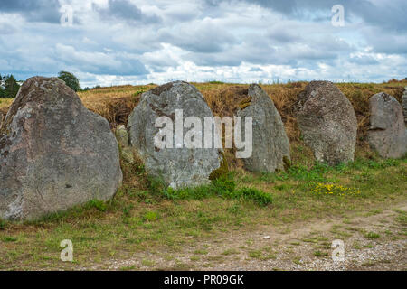 Die Long Barrow von Gronsalen auf Moen Island, Dänemark, Skandinavien, Europa. Stockfoto