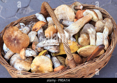 Viele verschiedene Pilze in einem Weidenkorb und Edelstahl Messer im Liegen. Gerade geerntete Pilze. Wald Pilze Stockfoto