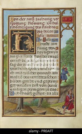 Grenze mit schimi Steine werfen an David, Simon Bening, Flämisch, etwa 1483 - 1561, Brügge, Belgien; ca. 1525 - 1530 Stockfoto