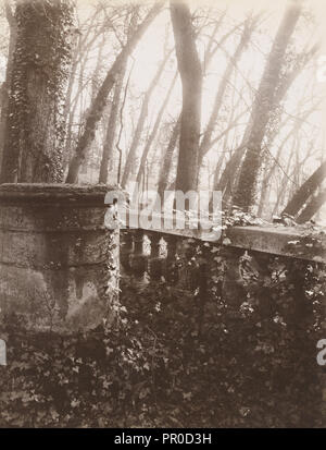 Park von Saint-Cloud, Paris; Eugène Atget, Französisch, 1857 - 1927, Paris, Frankreich; 1924; Eiklar silber Drucken Stockfoto