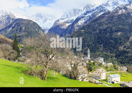 Frühling im Dorf Soglio, Val Bregaglia (Bergell), Graubünden, Schweiz, Europa Stockfoto