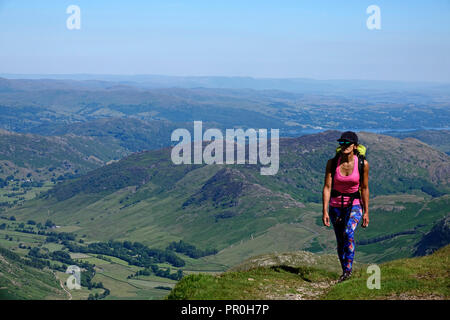 Wanderer auf einem Trail oben Langdale, Lake District National Park, UNESCO-Weltkulturerbe, Cumbria, England, Vereinigtes Königreich, Europa Stockfoto