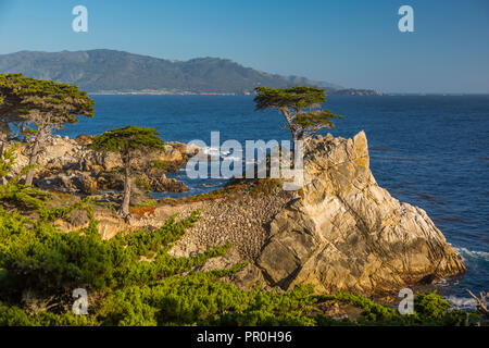 Blick auf die Bay und Lone Cypress am Kiesel Strand, 17 Kilometer Fahrt, Halbinsel, Monterey, Kalifornien, Vereinigte Staaten von Amerika, Nordamerika Stockfoto