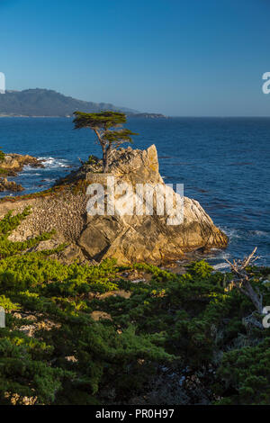 Blick auf die Bay und Lone Cypress am Kiesel Strand, 17 Kilometer Fahrt, Halbinsel, Monterey, Kalifornien, Vereinigte Staaten von Amerika, Nordamerika Stockfoto