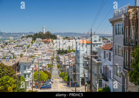 Blick auf den Coit Tower von Russian Hill, San Francisco, Kalifornien, Vereinigte Staaten von Amerika, Nordamerika Stockfoto