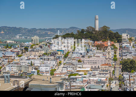 Blick auf den Coit Tower von Russian Hill, San Francisco, Kalifornien, Vereinigte Staaten von Amerika, Nordamerika Stockfoto