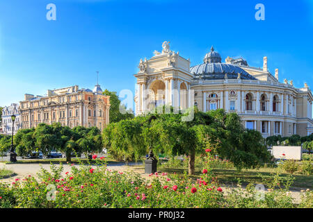 Park mit Rosen in der Nähe der berühmten Oper von Odessa, Ukraine Stockfoto