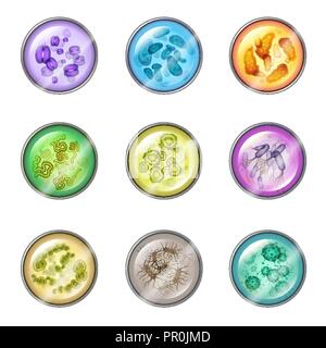 Eingestellt von isolierten Glaswaren Platten mit Bakterien oder Petrischale mit Virus Kolonie, Labor Schüssel für bakterielle organismen Proben. Wissenschaft und Medizin-, Labor- oder Labor, Chemie und Biologie Thema Stock Vektor