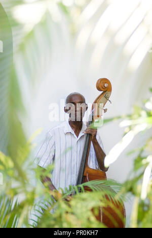 Alte Cello Musiker sein Instrument spielen in einem Garten in Kuba nördlichen Karibik Stockfoto