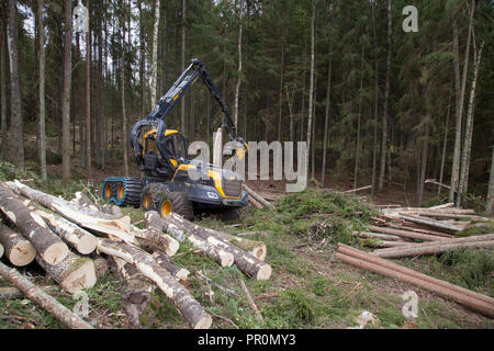 Feldhäcksler Forstwirtschaft, Forstwirtschaft Fahrzeug arbeitet im Wald mit der Kahlschlag ein Bereich Stockfoto