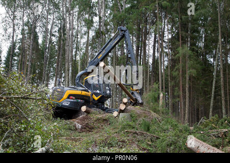 Feldhäcksler Forstwirtschaft, Forstwirtschaft Fahrzeug arbeitet im Wald mit der Kahlschlag ein Bereich Stockfoto