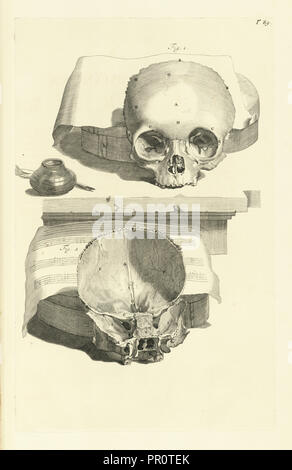 Platte 89, Godefridi Bidloo, medicinae doctoris und Chirurgi, Anatomia Humani Corporis: Centum und Quinque tabulis Stockfoto