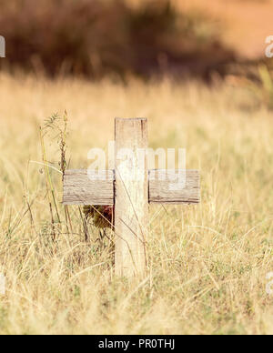 Alte hölzerne Kreuz in einem historischen Friedhof mit schönen Rasen & Baum gefüllt Hintergründe in einer ruhigen Umgebung Stockfoto