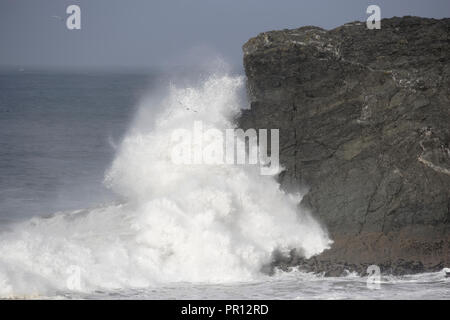 Storm Wellen verschlingen Porth Island Newquay Cornwall im Vereinigten Königreich. Stockfoto