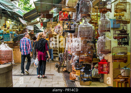 Yuen Po Street Bird Garden Market, Mongkok, Kowloon, Hong Kong, China, Asien Stockfoto