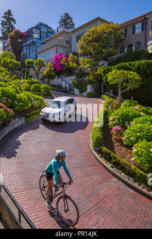 Auto- und Radfahrer auf der Lombard Street, San Francisco, Kalifornien, Vereinigte Staaten von Amerika, Nordamerika Stockfoto