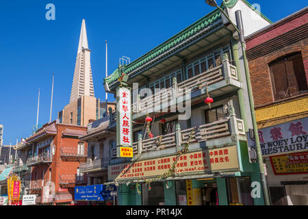 Anzeigen von Transamerica Pyramide von Chinatown, San Francisco, Kalifornien, Vereinigte Staaten von Amerika, Nordamerika Stockfoto