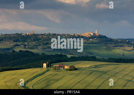 Blick über das Val d'Orcia und die Kapelle der Madonna di Vitaleta mit den späten Abend Sonne beleuchtet die Stadt Pienza, UNESCO, Toskana, Italien Stockfoto