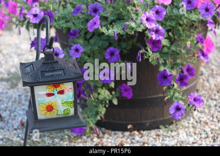 Million Bells Blumen in ein Fass mit einer Gartenlaterne Stockfoto