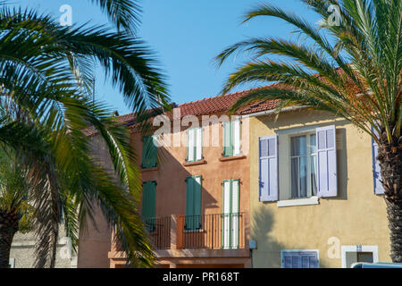 Farben der Provence, Frankreich, Sommer in der kleinen Stadt am Mittelmeer, bunten Fassaden und Fenster und Palmen. Stockfoto