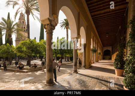 Die Große Moschee (Kathedrale Unserer Lieben Frau von der Himmelfahrt) (Mezquita) von Córdoba, UNESCO-Weltkulturerbe, Cordoba, Andalusien, Spanien, Europa Stockfoto