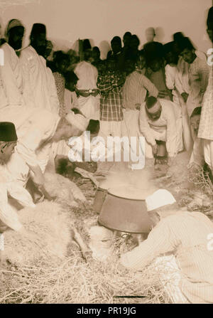 Der Samariter Ostern am Mt. Garizim, das Opfer. 1900, West Bank Stockfoto