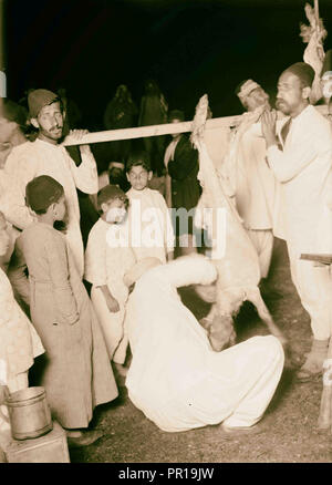 Der Samariter Ostern am Mt. Garizim, die Vorbereitung der Aas 1900, West Bank Stockfoto