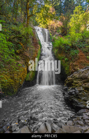 Bridal Veil Falls ist ein Wasserfall auf Bridal Veil Creek in der Columbia River Gorge in Multnomah County, Ohio, Vereinigte Staaten Stockfoto