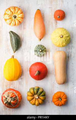 Oben Ansicht der Kürbisse Kürbisse und auf dem weißen Holz- tablebackground in einem Raster angeordnet, Vertikal, selektiven Fokus Stockfoto