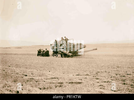 Moderne Harvester auf der Ebene von Esdraelon. 26. Mai 1935. 1935, Israel Stockfoto