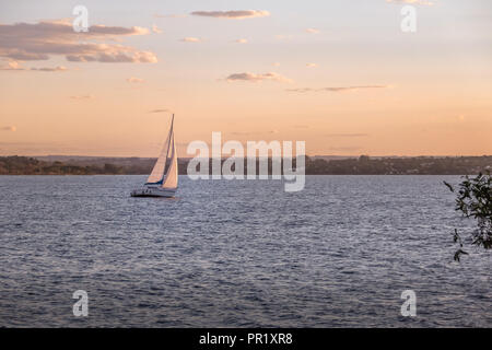 Segelboot am Paranoa See - Brasilia, Distrito Federal, Brasilien Stockfoto