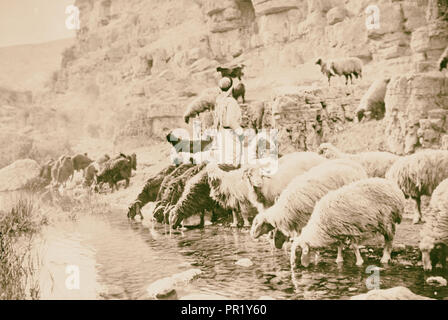 Hirten leben, die die Xxiii. Psalm' Er erquicket meine Seele". 1910 Stockfoto