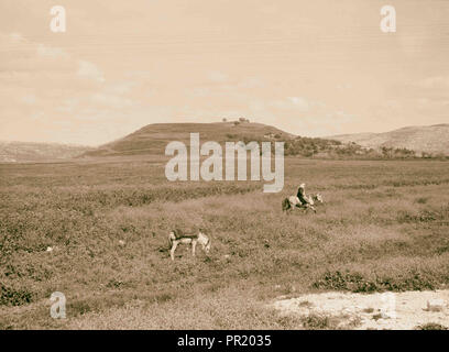 Nördliche Aussicht. Ruinen in Dothan. 1900, West Bank, Dothan Stockfoto