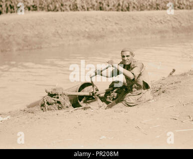 Landwirtschaft in Ägypten. Primitive Bewässerung. Close-up, Methode, Wasser aus den Kanälen durch Spiralschlauch. 1934 Stockfoto