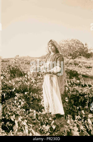 Ein Bauer Mädchen, dass eine Weintraube, Ain, in der Nähe von Taibye Yabrud, Mädchen mit Trauben in Ain Yabrud, in der Nähe von Taibye. 1937, West Bank Stockfoto