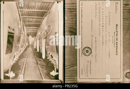 Jüdische Fabriken in Palästina auf Ebene von Sharon und entlang der Küste nach Haifa. Richon le Zion, die Brauerei, niedrige temparture Stockfoto