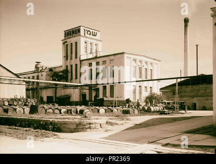Jüdische Fabriken in Palästina auf Ebene von Sharon und entlang der Küste nach Haifa. Haifa. Der Hemen "Öl arbeitet. Das Saatgut Fräsen dep't Stockfoto